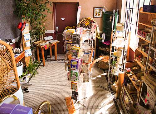 Giftshop